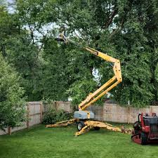 Best Arborist Consultation Services  in Modesto, CA